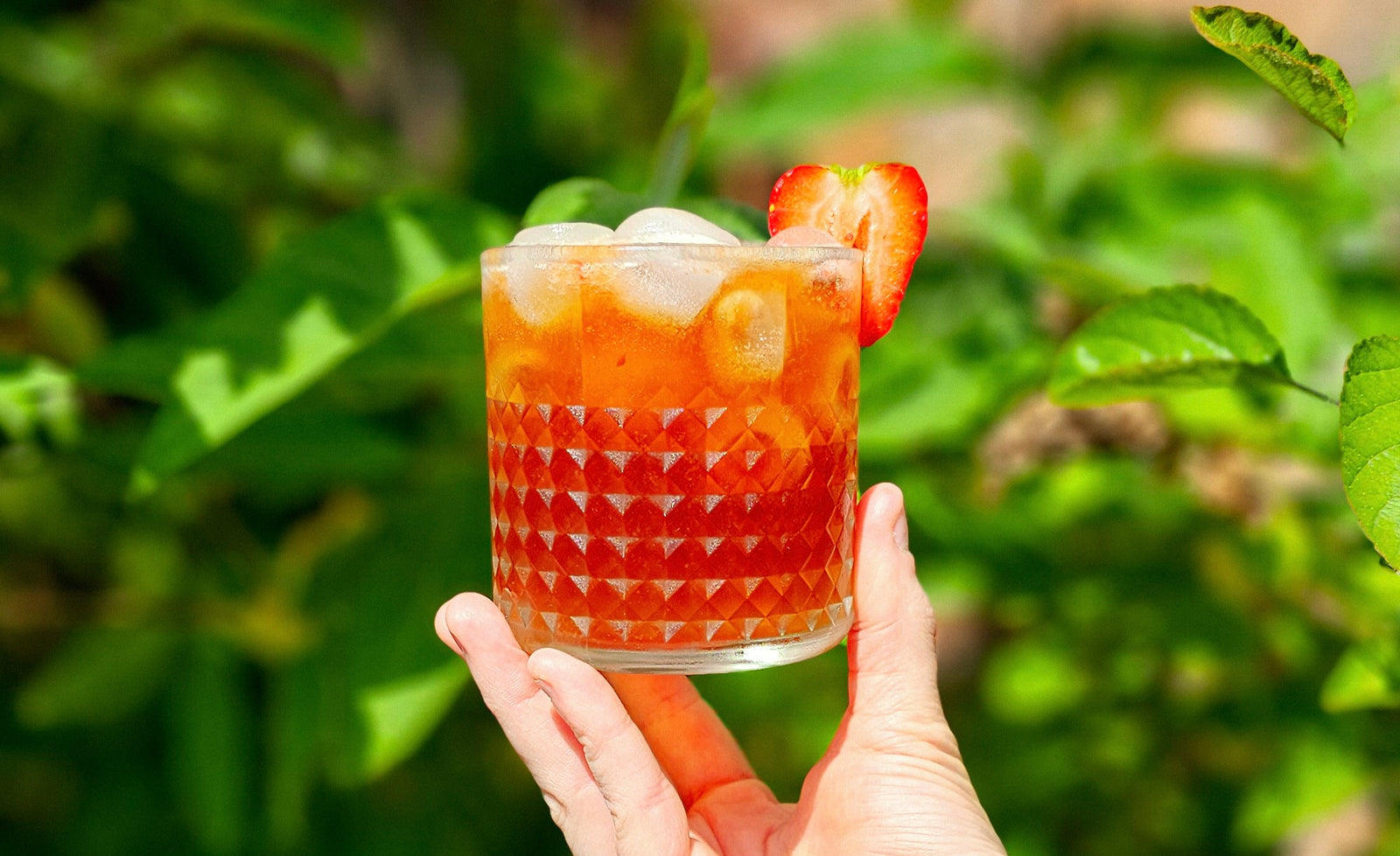 Summer Drinks Inspo! - Creative Cold Brew Recipes