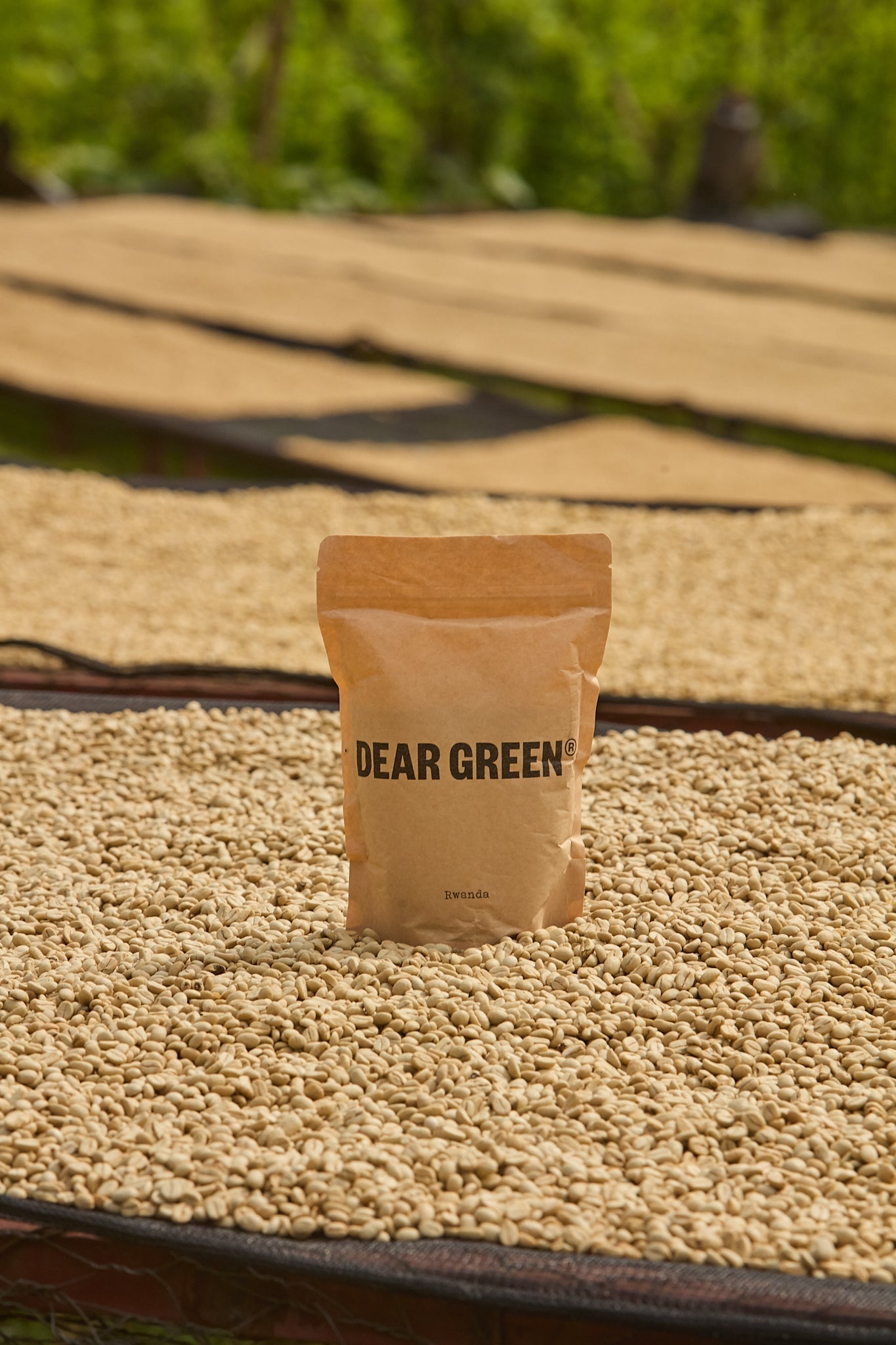 Washed Vs Natural Coffee - What's the difference?