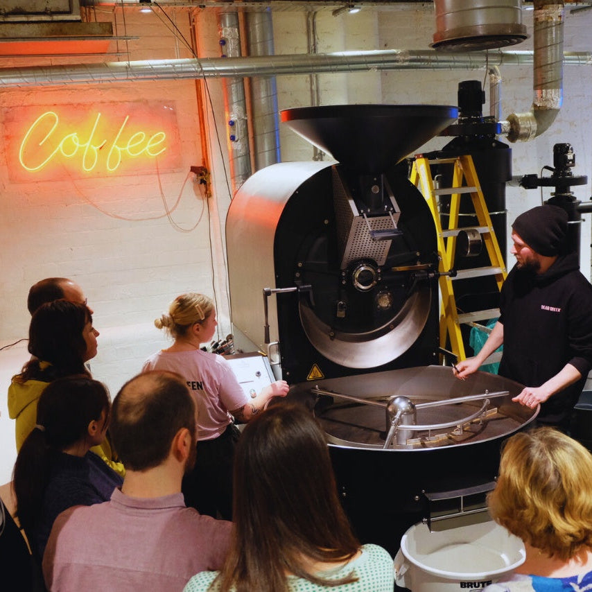 Dear Green Roastery Tour